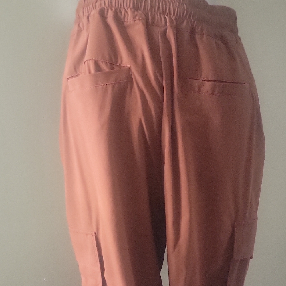 Fabletics Rust Pants - Picture 5 of 6